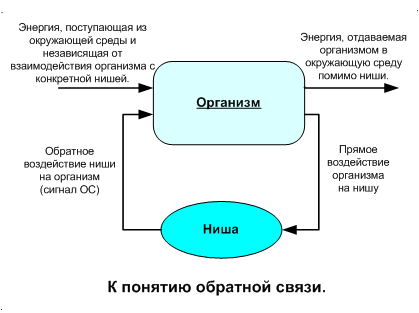 Петля обратной связи.